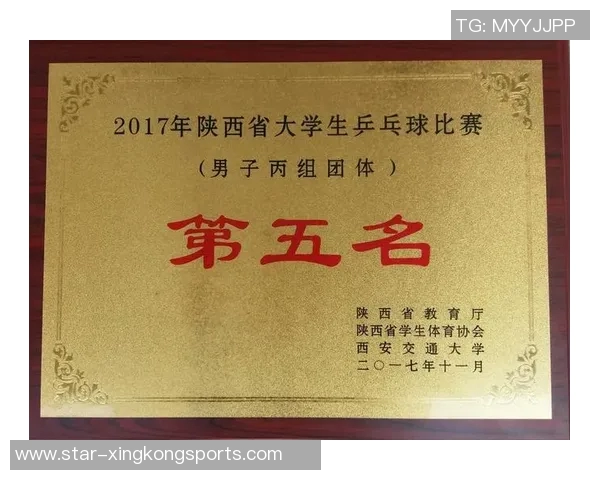 西安乒乓球队比赛经验的深度分析与探讨